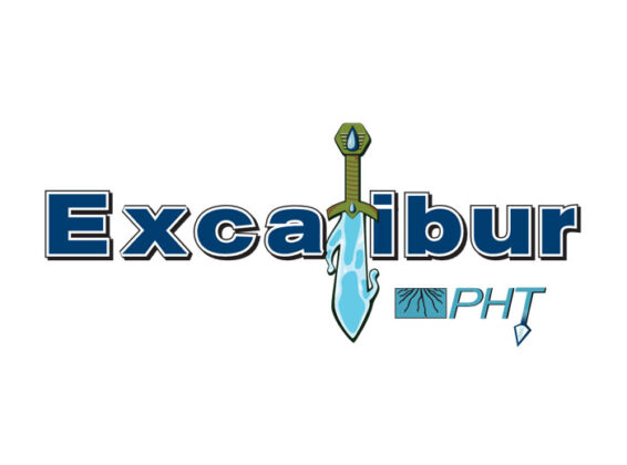 Excalibur