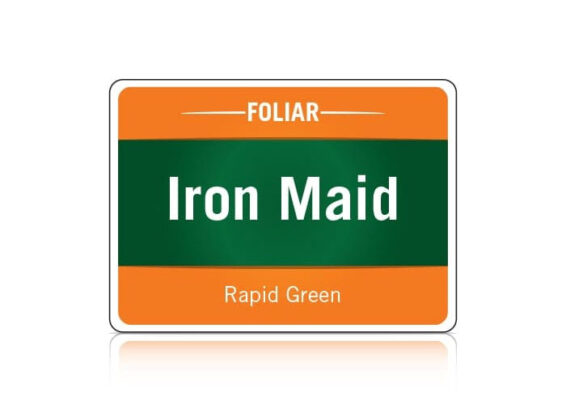 Iron Maid logo
