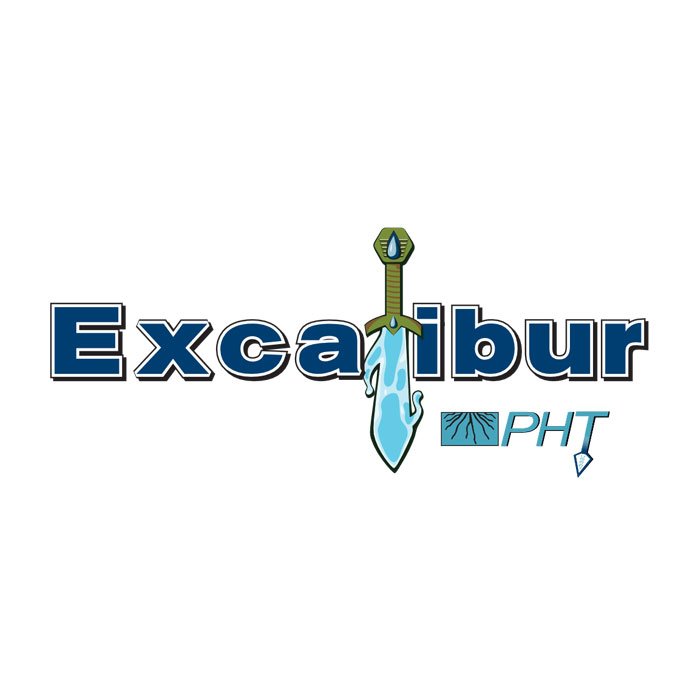 Excalibur