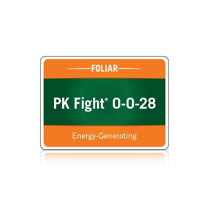 PK Fight logo