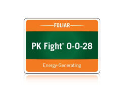 PK Fight logo