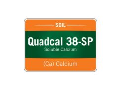 Quadcal 38-SP