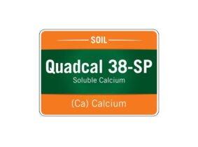 Quadcal 38-SP